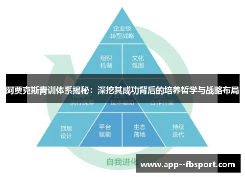 阿贾克斯青训体系揭秘:深挖其成功背后的培养哲学与战略布局 阿贾克斯青训体系揭秘:深挖其成功背后的培养哲学与战略布局
