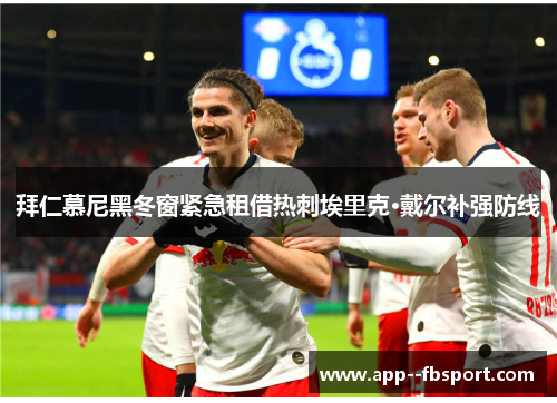 拜仁慕尼黑冬窗紧急租借热刺埃里克·戴尔补强防线 拜仁慕尼黑冬窗紧急租借热刺埃里克·戴尔补强防线